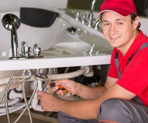 About Plumbers Pros Remus, MI